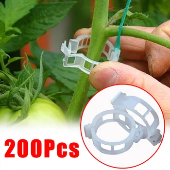 200/50Pcs Plastiko Augalų Paramos Įrašus Daugkartinio naudojimo Augalų Vynuogių Apsaugos Skiepyti Tvirtinimo Įrankis daržovėms Pomidorų Sodo