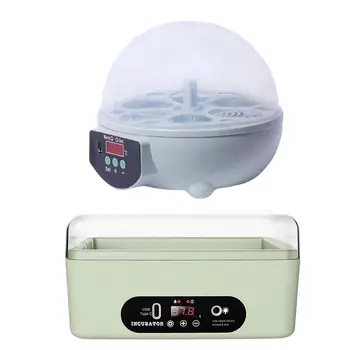 Automatinis Skaitmeninis 6 Kiaušinių Inkubatorius Vištienos Paukščių Temperatūros Kontrolės Inkubatorius